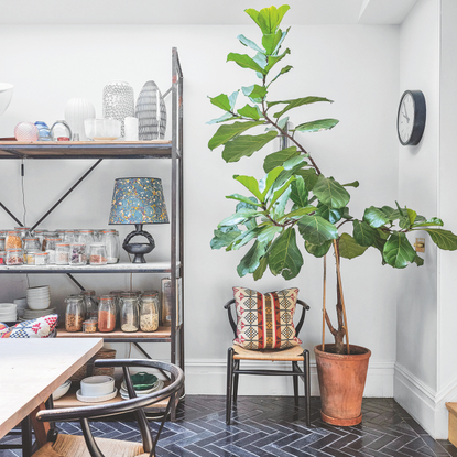 Dining area with dark parquet tiled floor, pale grey walls, large houseplant, shelving with glass jars, vases and a lamp below a skylight.