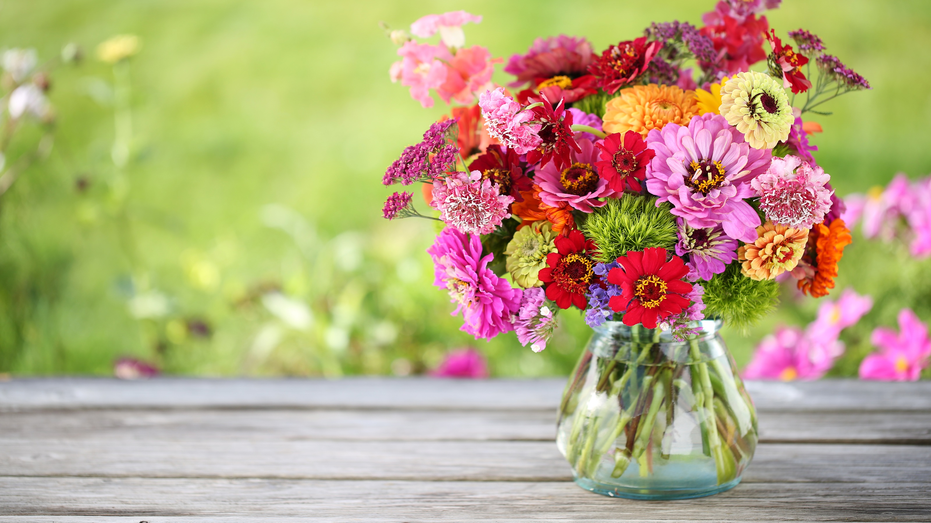 Zinnias in vase