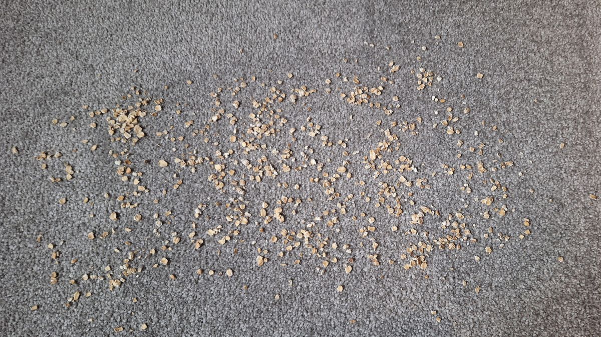 Oats on carpet, ready for large debris suction test using Samsung Bespoke AI Jet Ultra