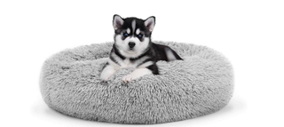 Amazon donut dog bed sound sleep