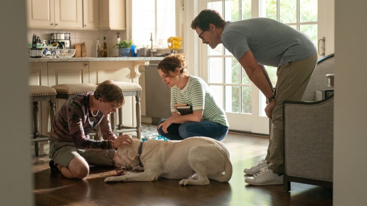 Dog gone cast where you ve seen the stars of netflix s new dog movie