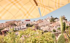 burberry the standard ibiza