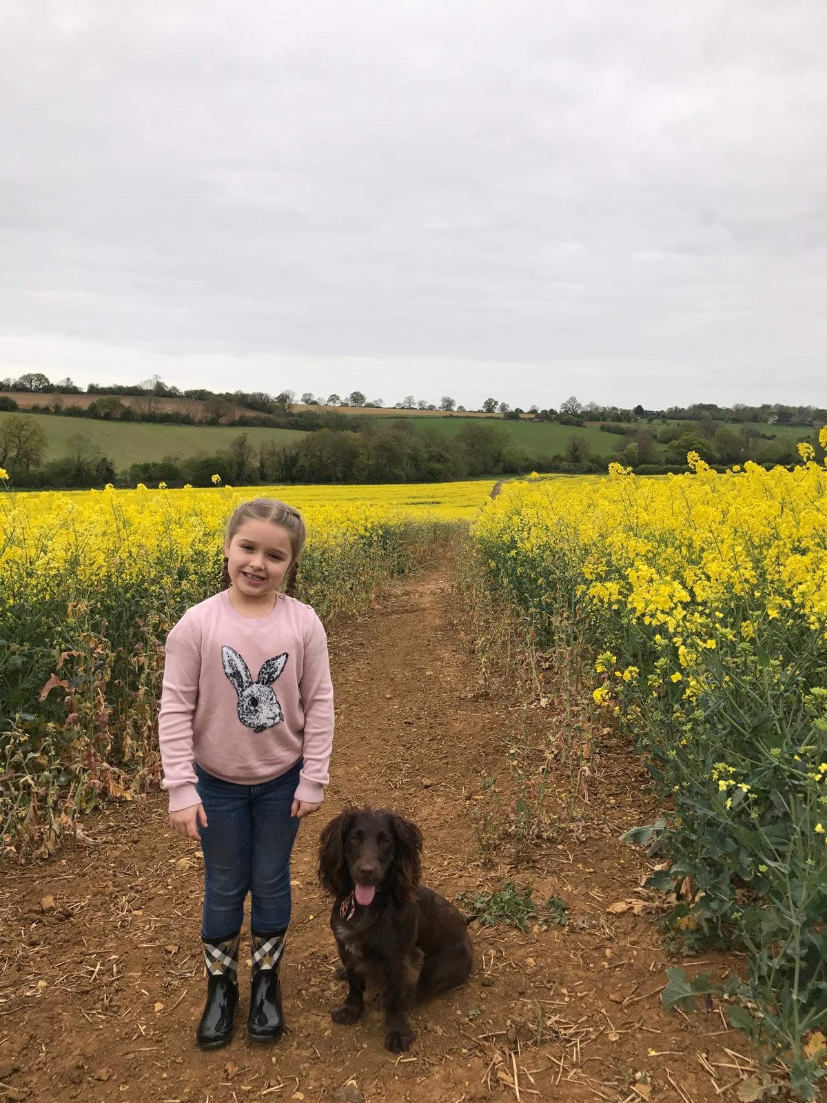 Harper Beckham and Olive the cocker spaniel standing in a crop field