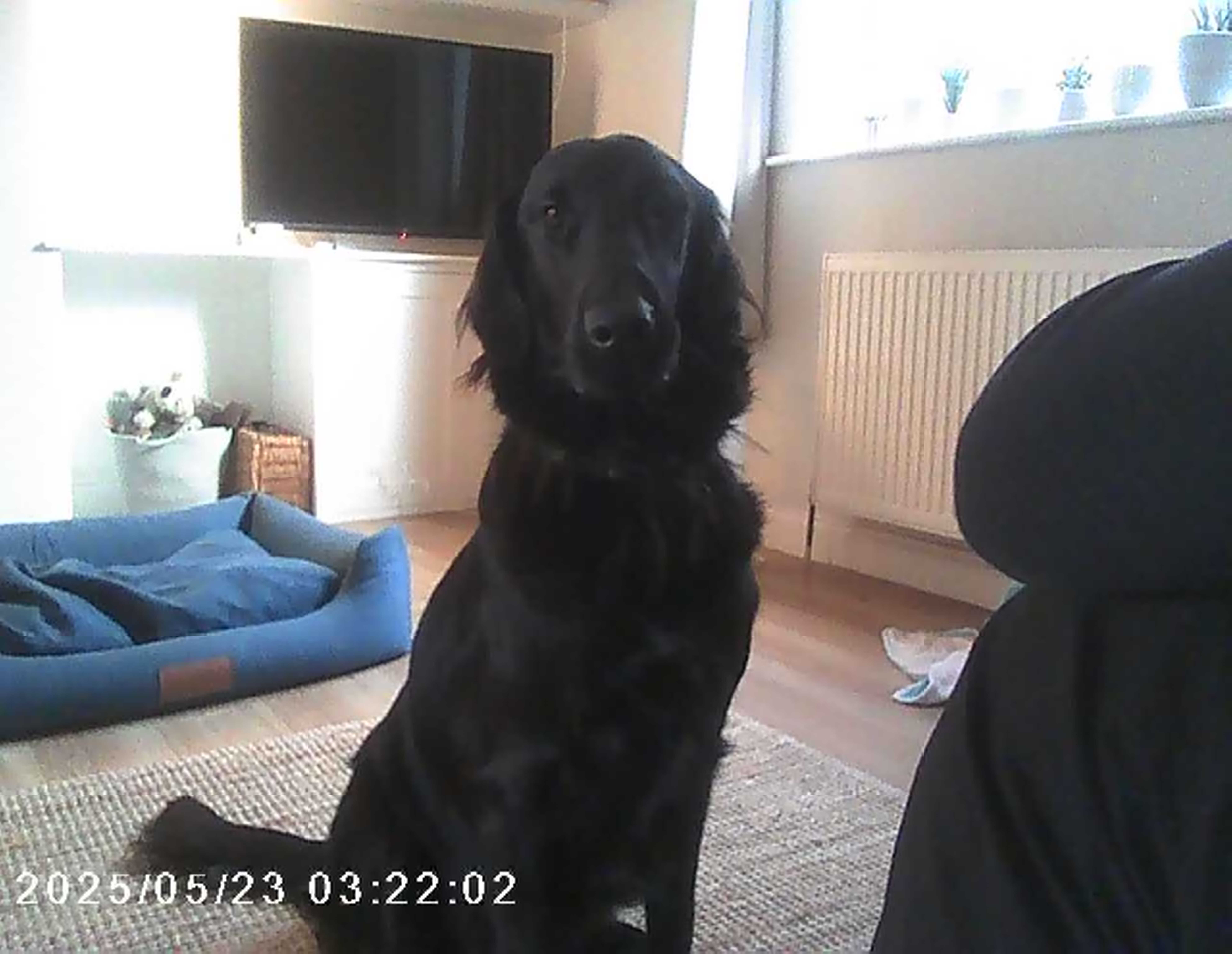 Sample images from the Photo Creator Projector Camera