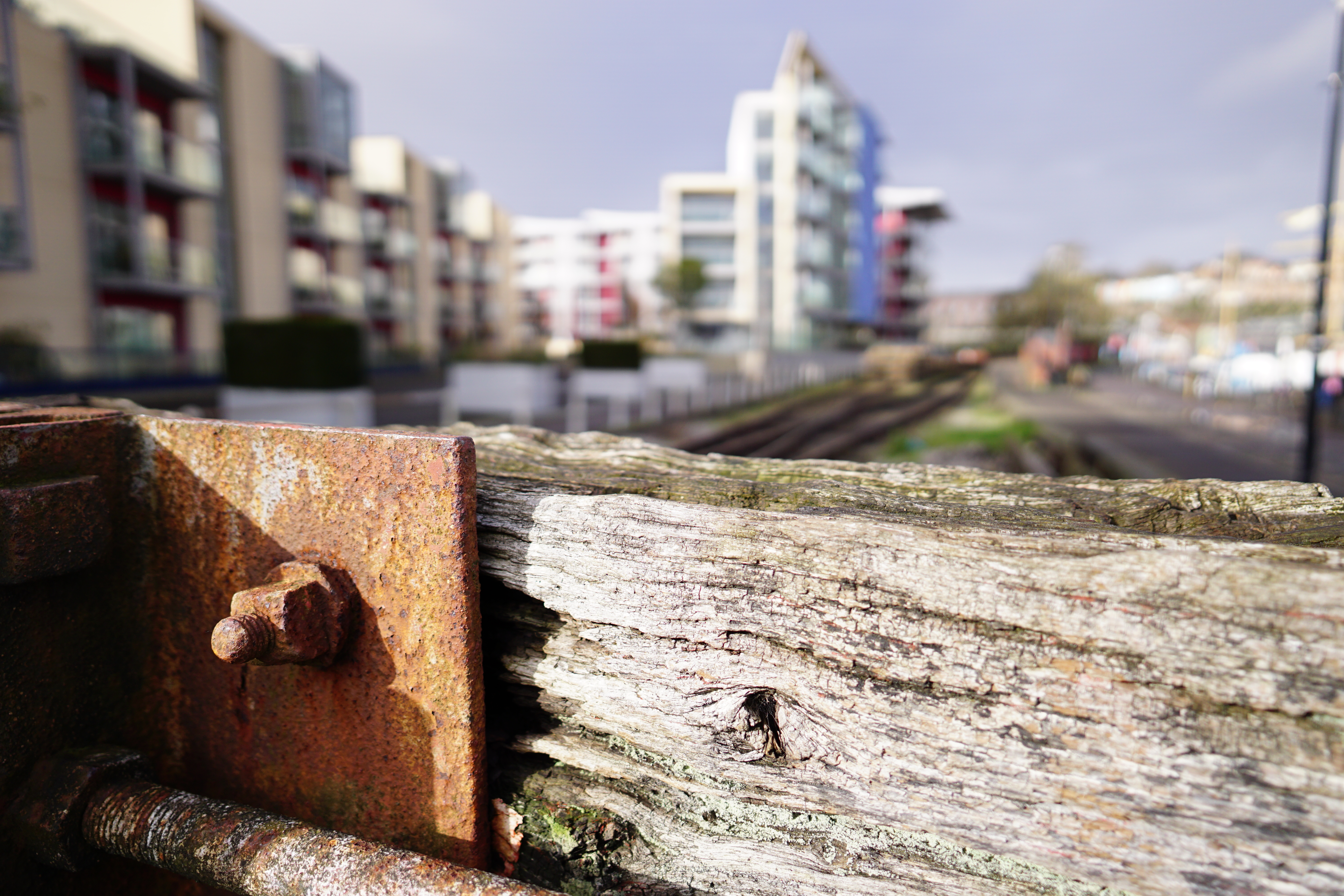 Sigma 15mm f/1.4 DC | C sample image