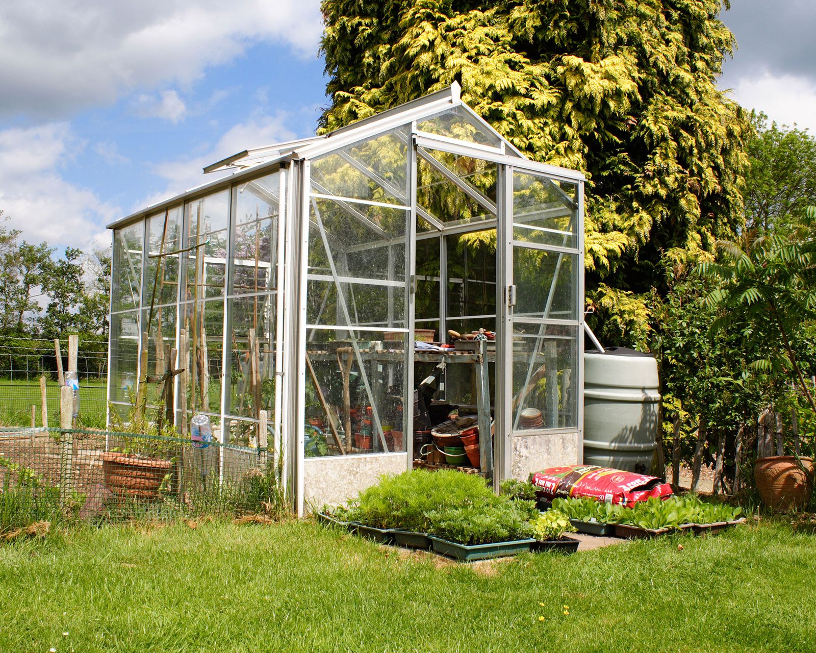 How to use a greenhouse to grow plants, fruit and vegetables Gardeningetc