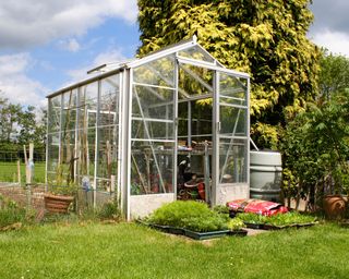 Garden greenhouse with a lawn in front