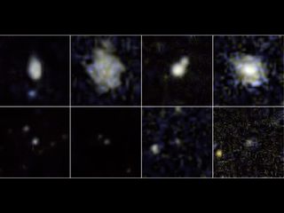 Little Galaxies Pack a Big Punch