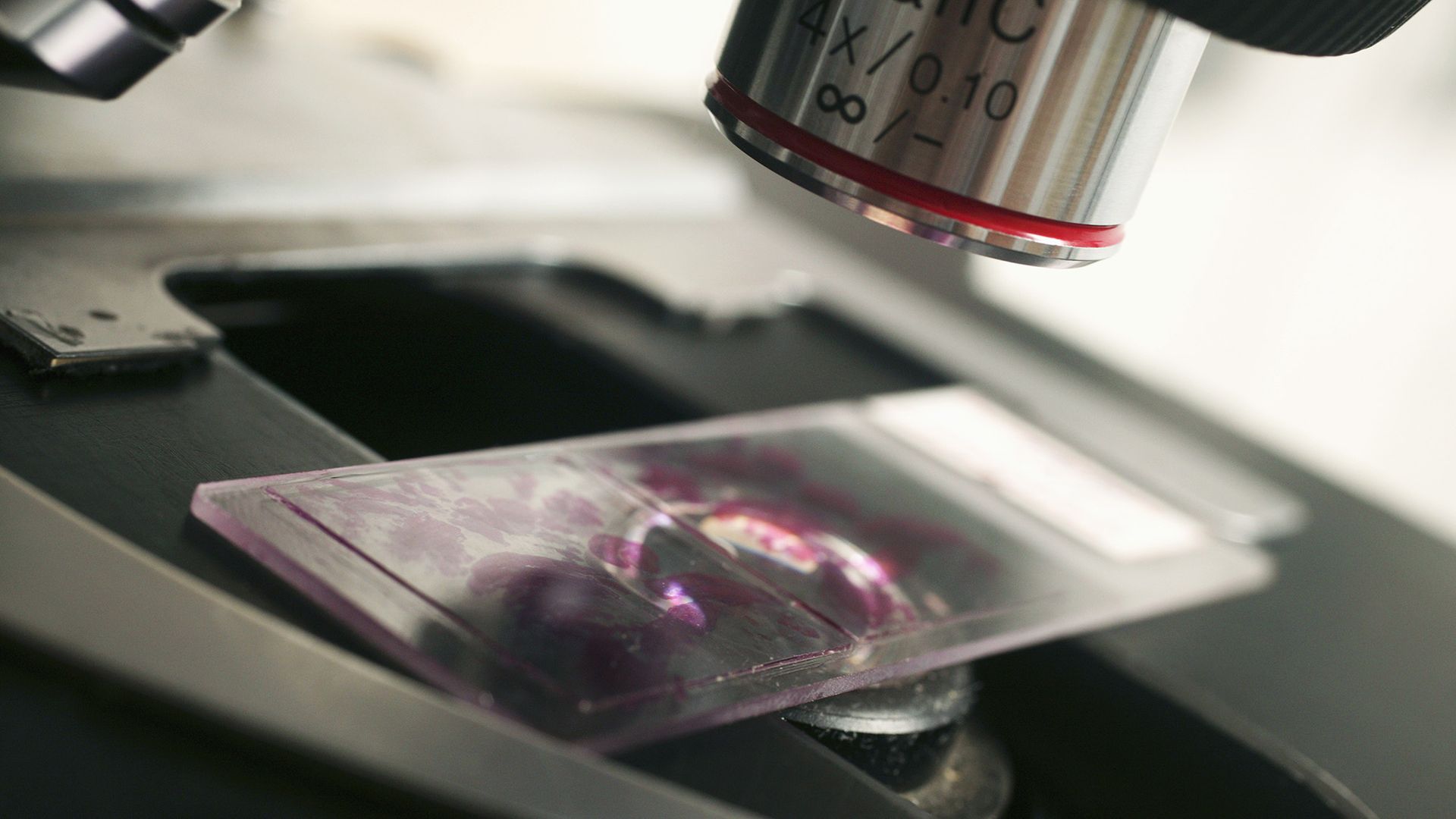 A close up of a microscope lens looking at a glass slide on the microscope mount.