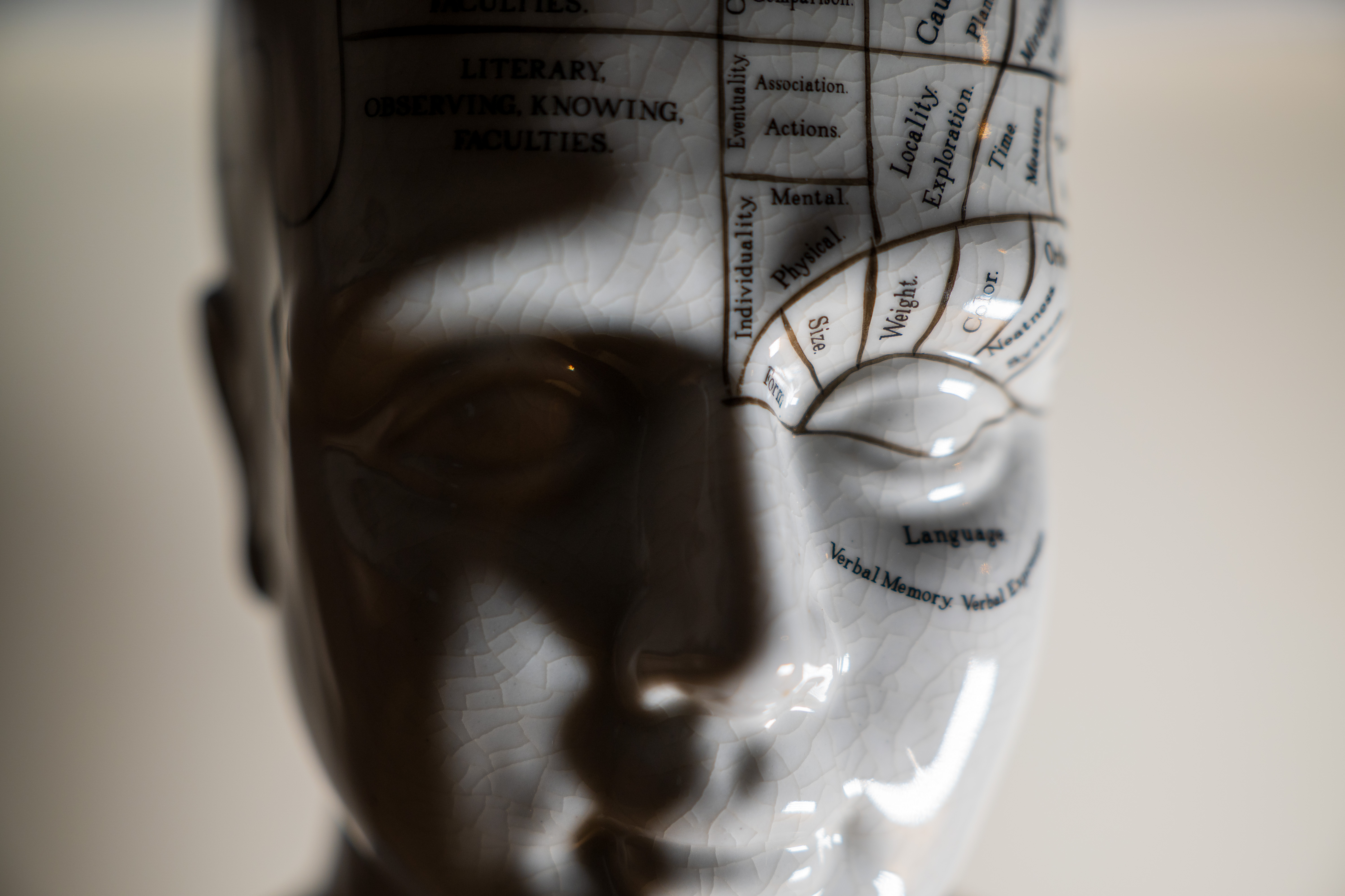 Panasonic Lumix S 24-60mm f/2.8 example shot