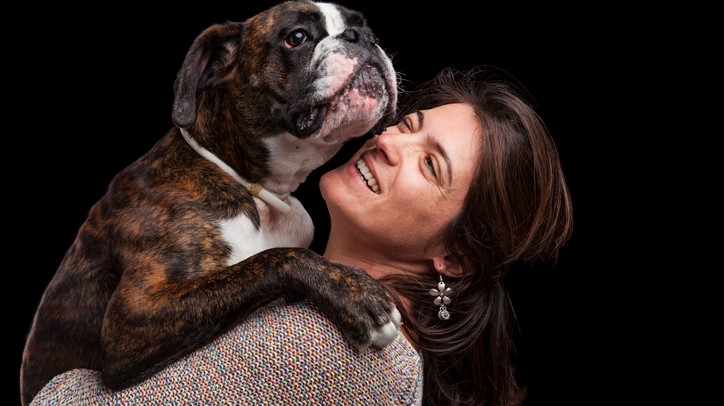 One of the most affectionate dog breeds, a Boxer dog in woman's arms