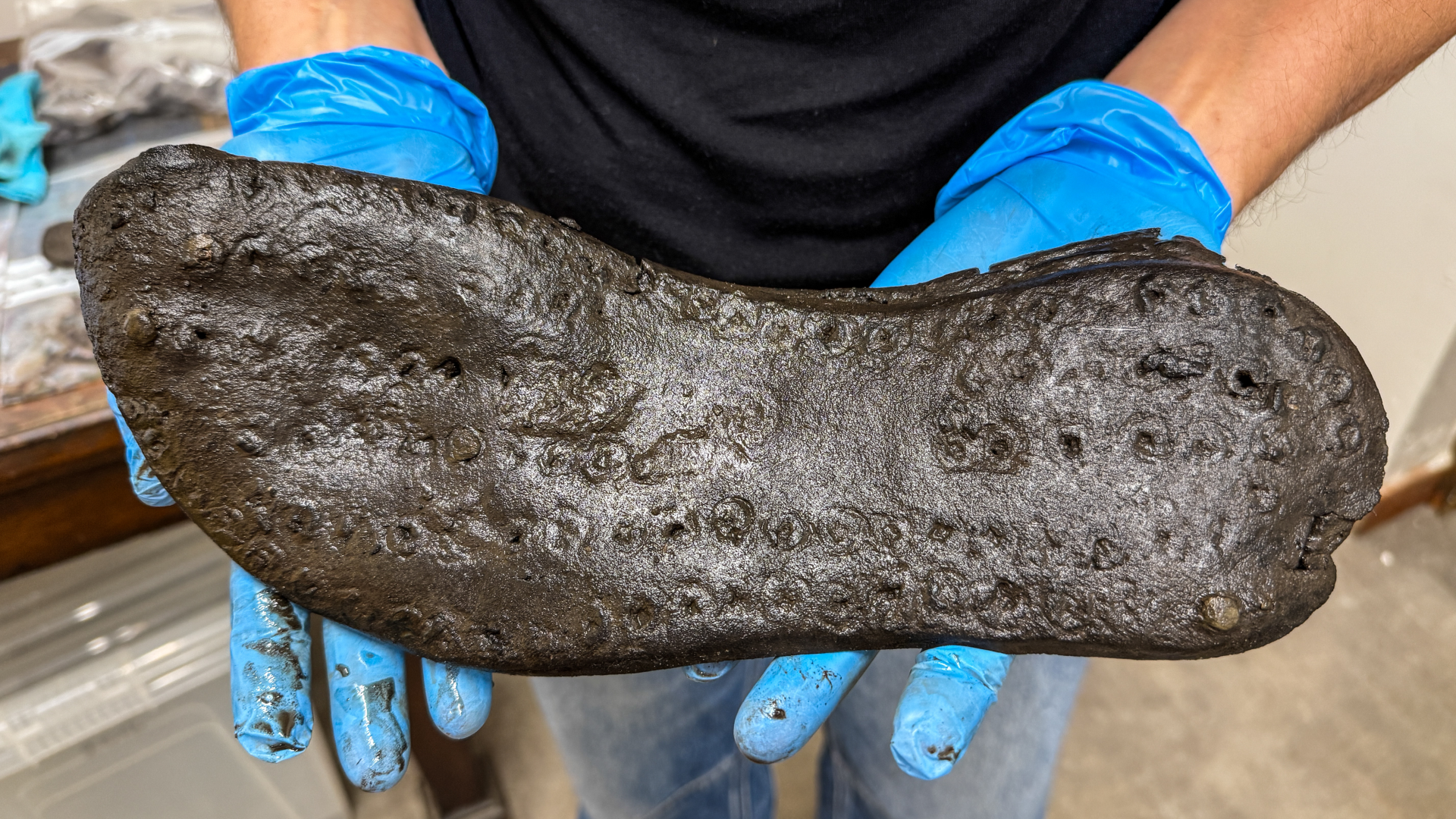 A person with light skin and blue latex gloves holds a brown leather shoe sole