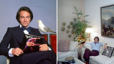 a split screen with neil diamond on the left and his living room in the '80s on the right