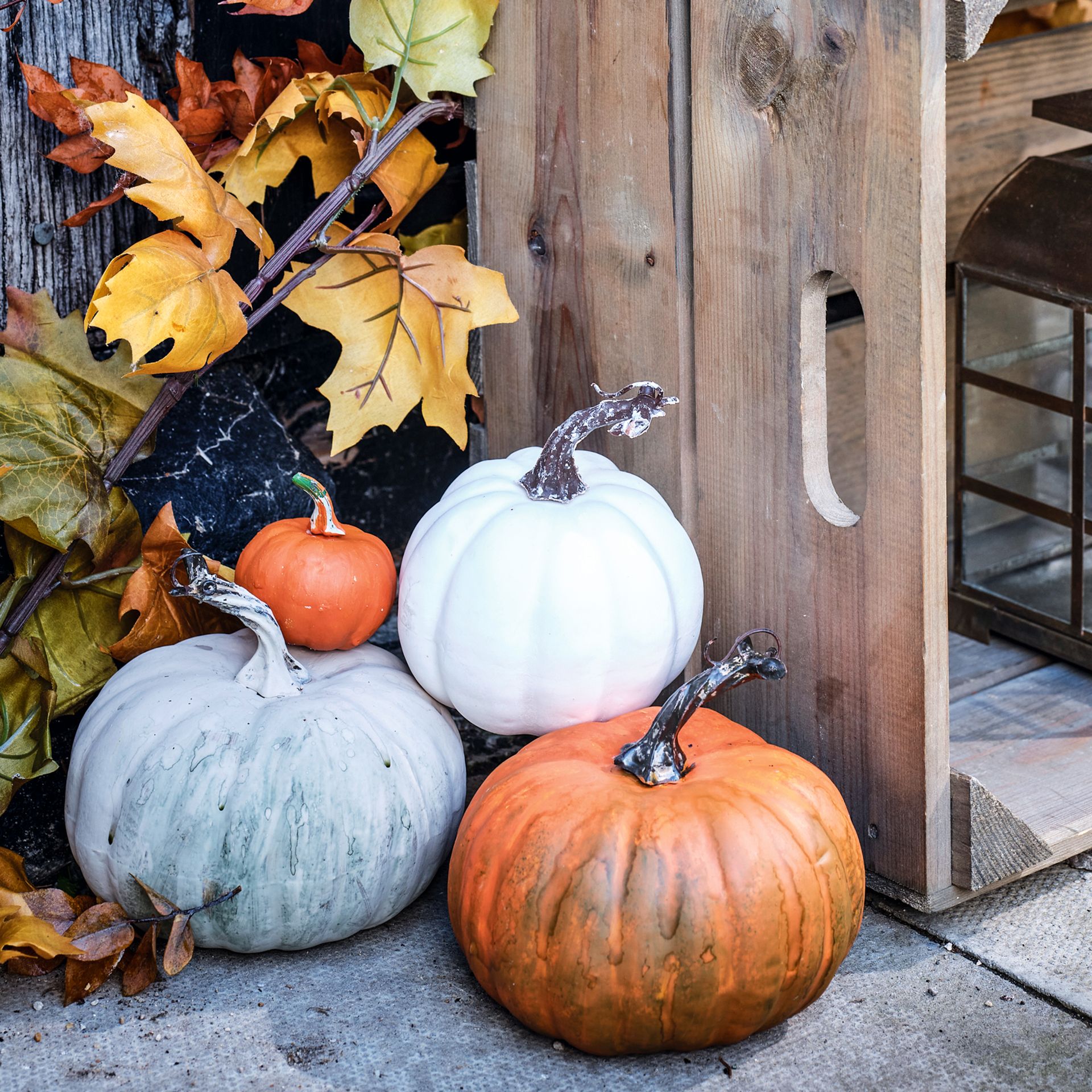 Pile of orange and white pumpkins on ground by autumn leaves