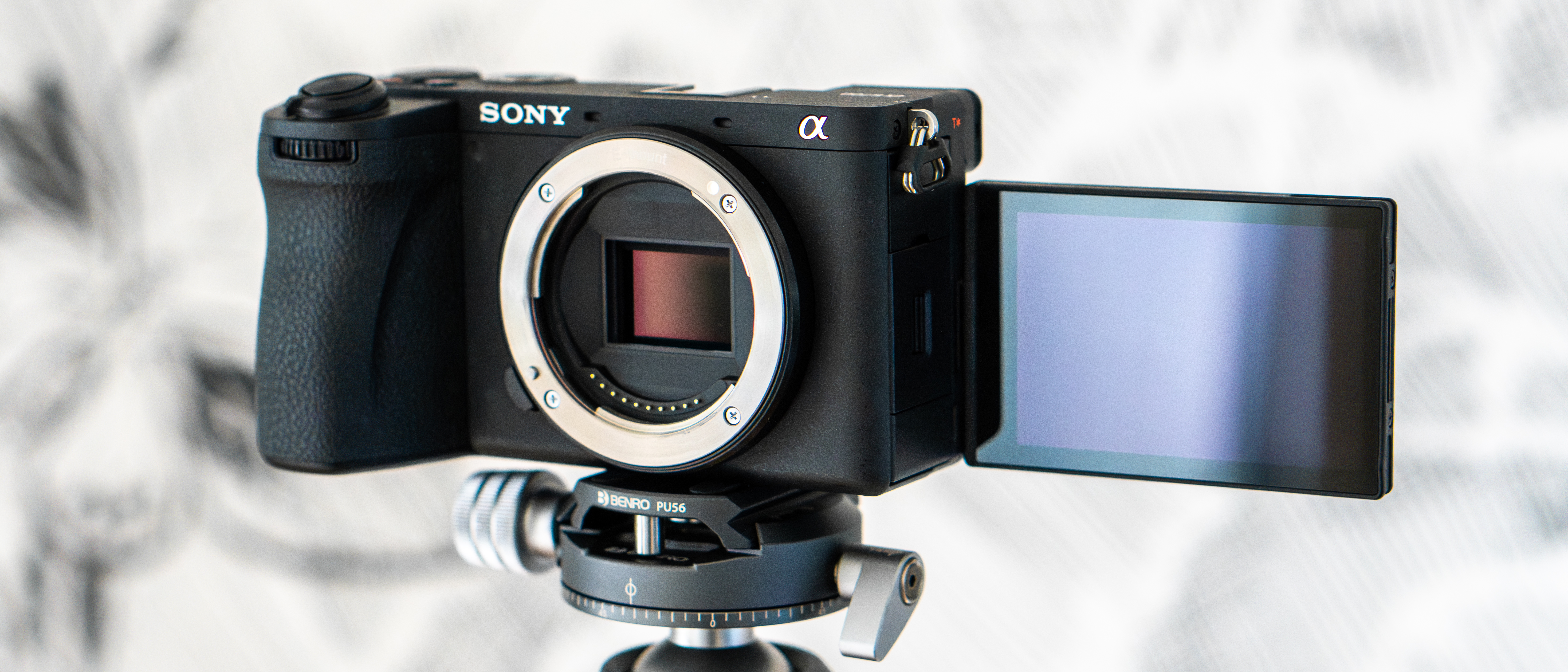 Sony Live Sexy Video - Sony A6700 review | Space