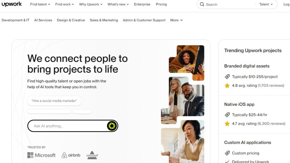 Website screenshot from Upwork (November 2024)