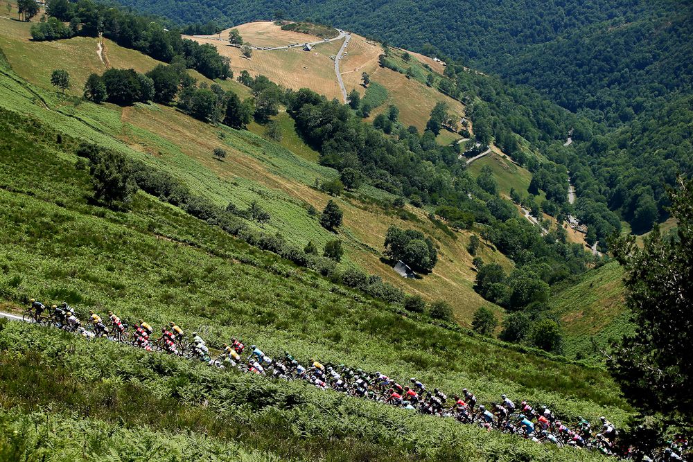 The peloton climbs during stage 11.