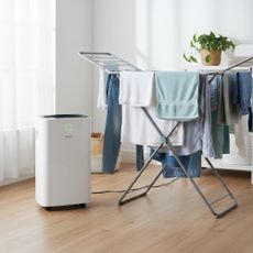 Devola DV12L dehumidifier by washing on indoor airer in living room