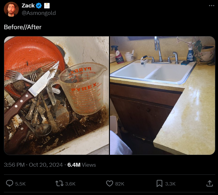 Asmongold's self-improvement kick sees him clean biohazard kitchen, evict a wolf spider, then declare himself an 'expert' on racism