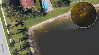 A Google Earth view shows the pond behind a Floria home. A white object is visible in the water.