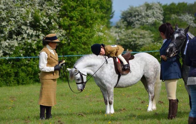 Bluebell at her first show, 3, riding Crumpwell finella