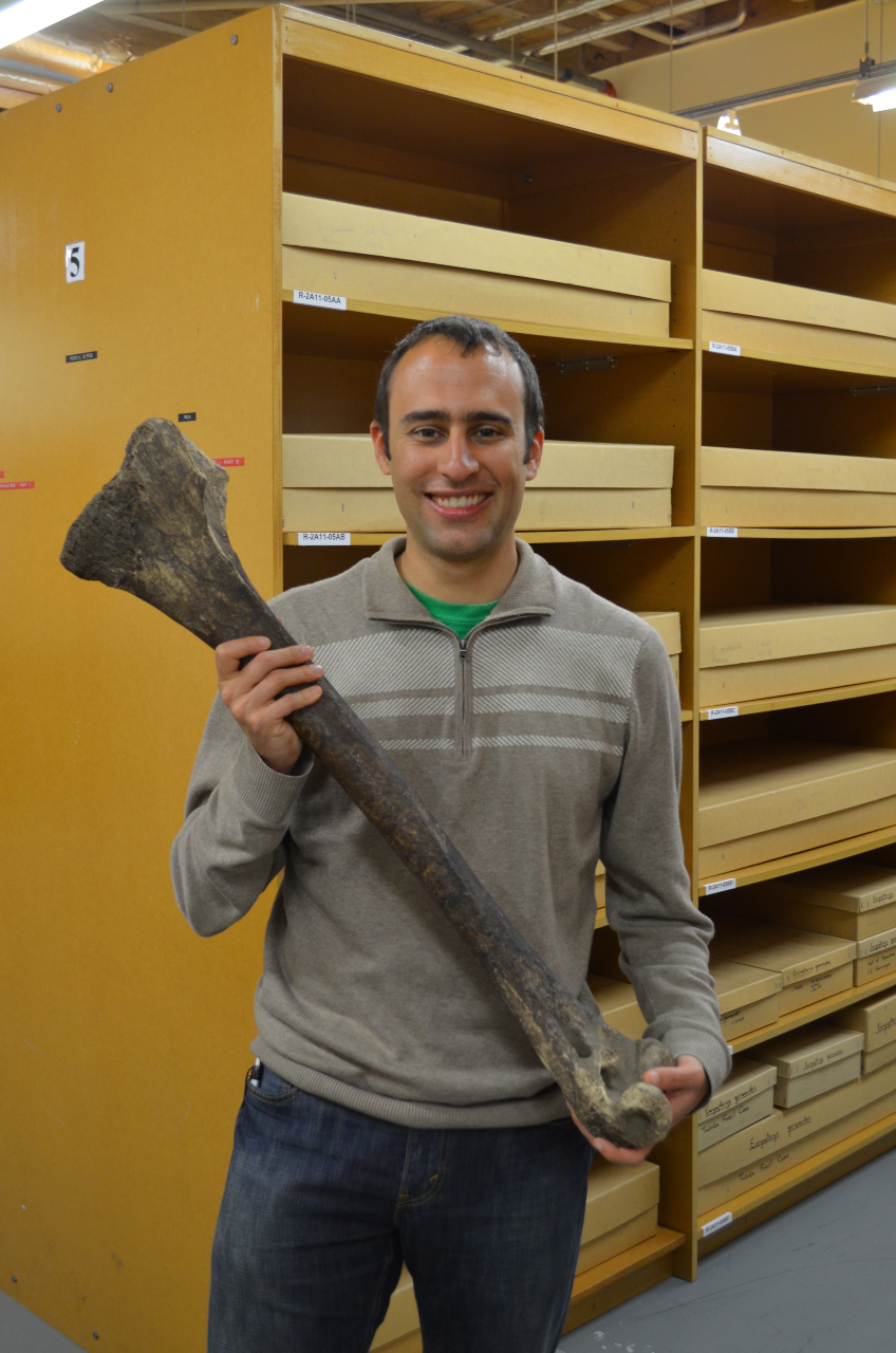 A man with short black hair wearing a gray jacket and blue jeans holds a large gray bone in front of yellow shelves full of boxes.
