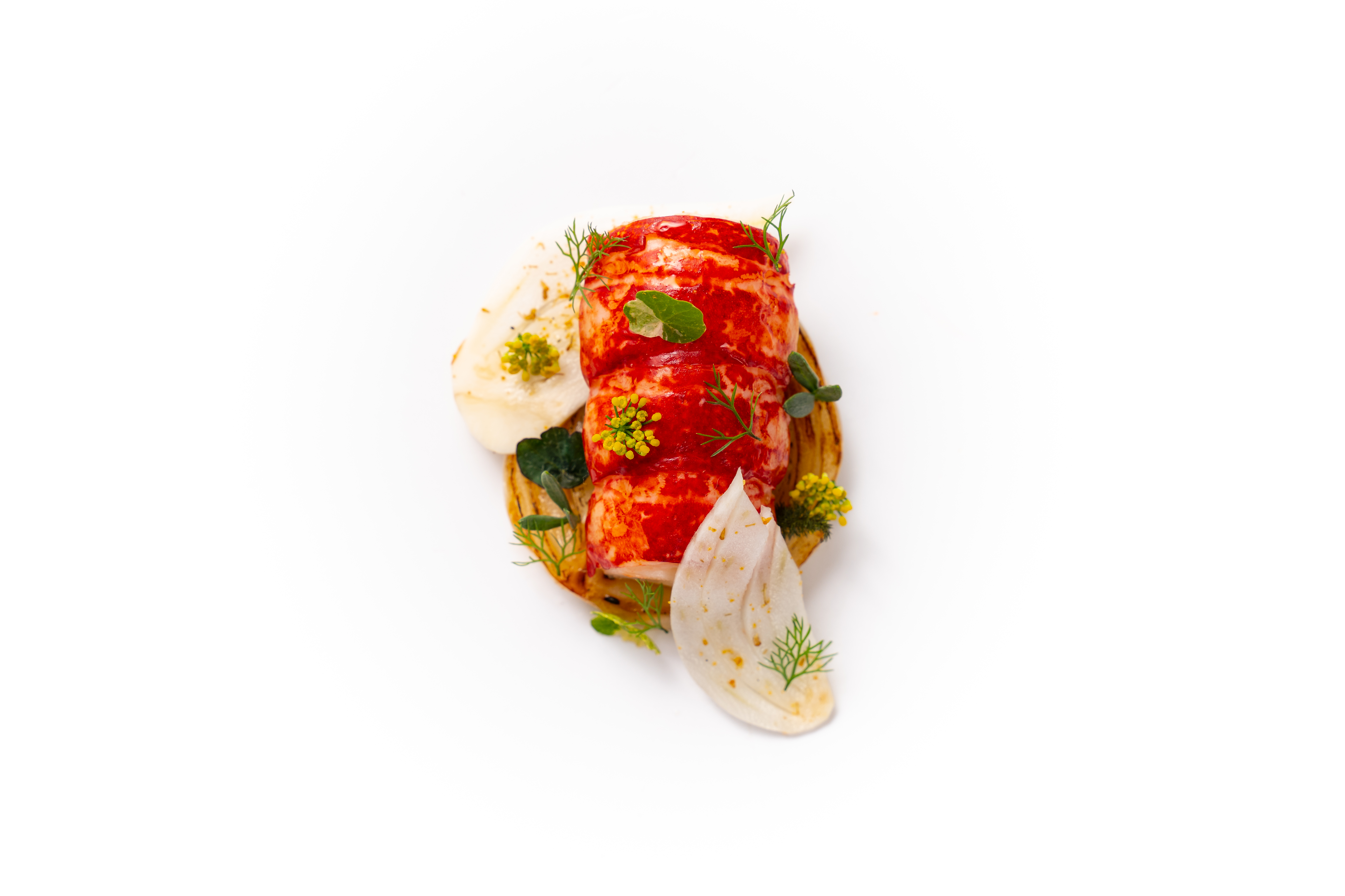 plate of lobster
