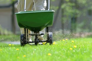 Spreading lawn weed and feed
