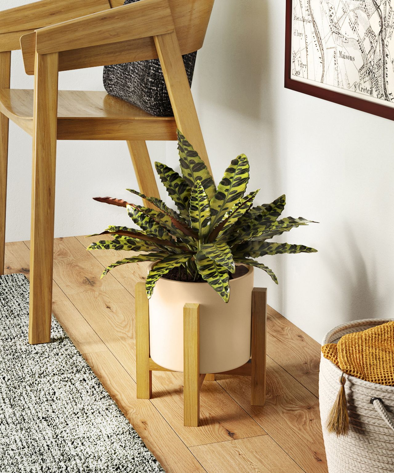 Experts reveal the best trending houseplant for 2024 Homes & Gardens