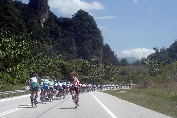 The peloton's one long line