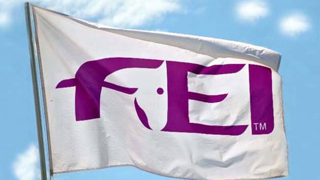 fei-flag-new-630x355-1.jpeg