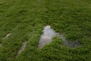 lawn with puddles
