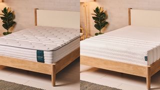 The Leesa Studio Chill mattress on a bed frame (left) and the Leesa Legend Hybrid mattress on a bed frame (right)