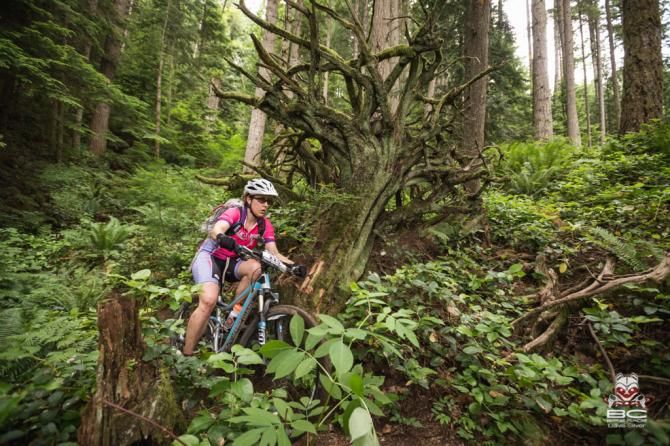Riders blur thourgh green pastures of salal and moss, stumps are reclaimed back under the living green carpet.