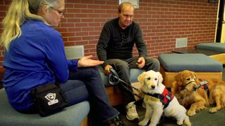 Two service dogs for PTSD sat with their owner and trainer