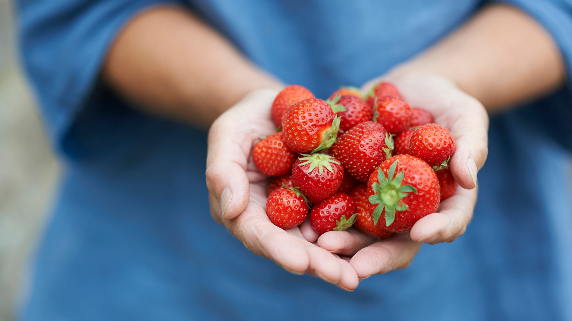 woman with a handful of fresh strawberries