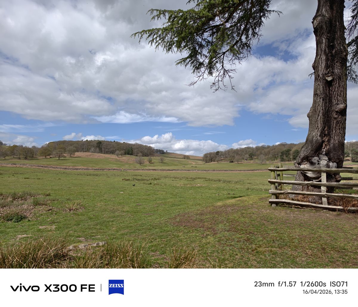 Photo samples from the Vivo X300 FE phone