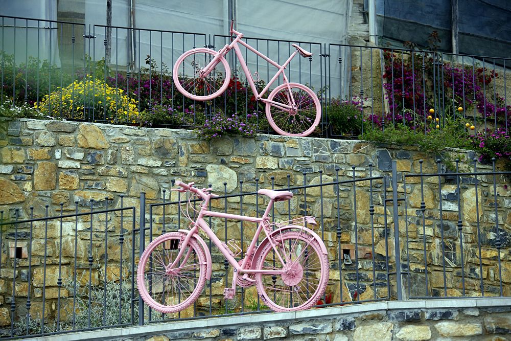 Giro d'Italia pink bikes