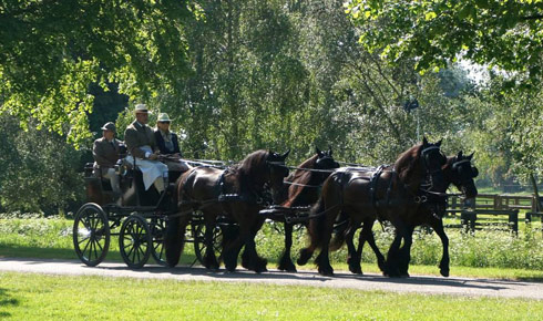 Prince Philip and his team of Fells. Photo by Hannah King