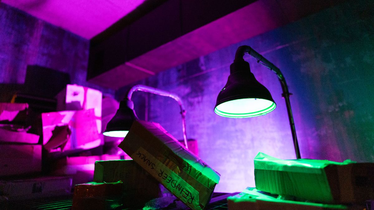 Scene with three fluorescent desk lamps arranged in a line with an industrial fluorescent backdrop.