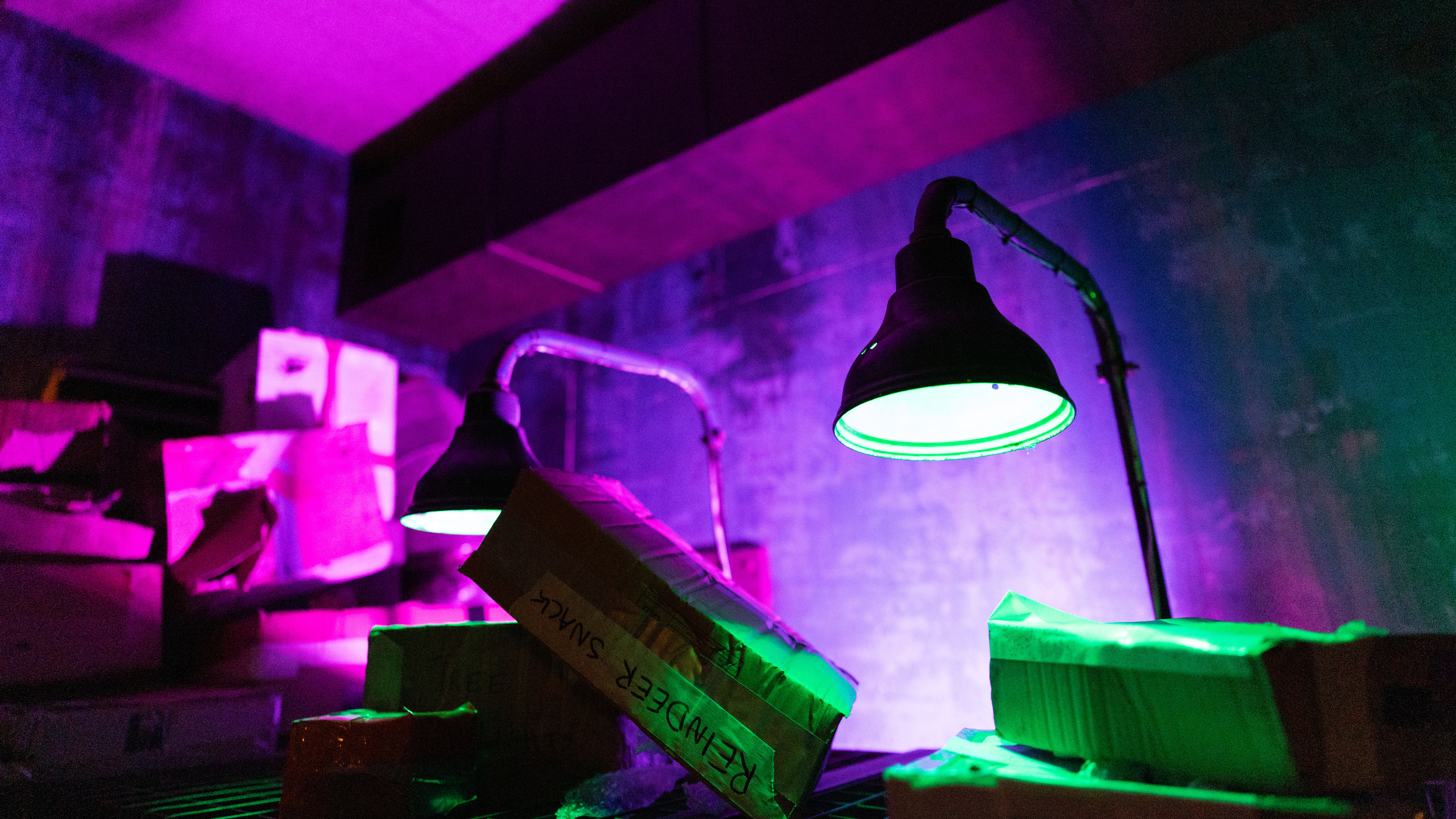 Scene with three fluorescent desk lamps arranged in a line with an industrial fluorescent backdrop.