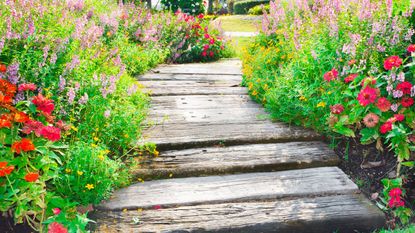 A wooden path runs through a flower garden