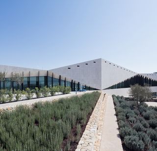 Exterior view of Palestinian Museum with lavender growing in the gardens