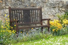 Bench In Garden Surrounded By Flowers