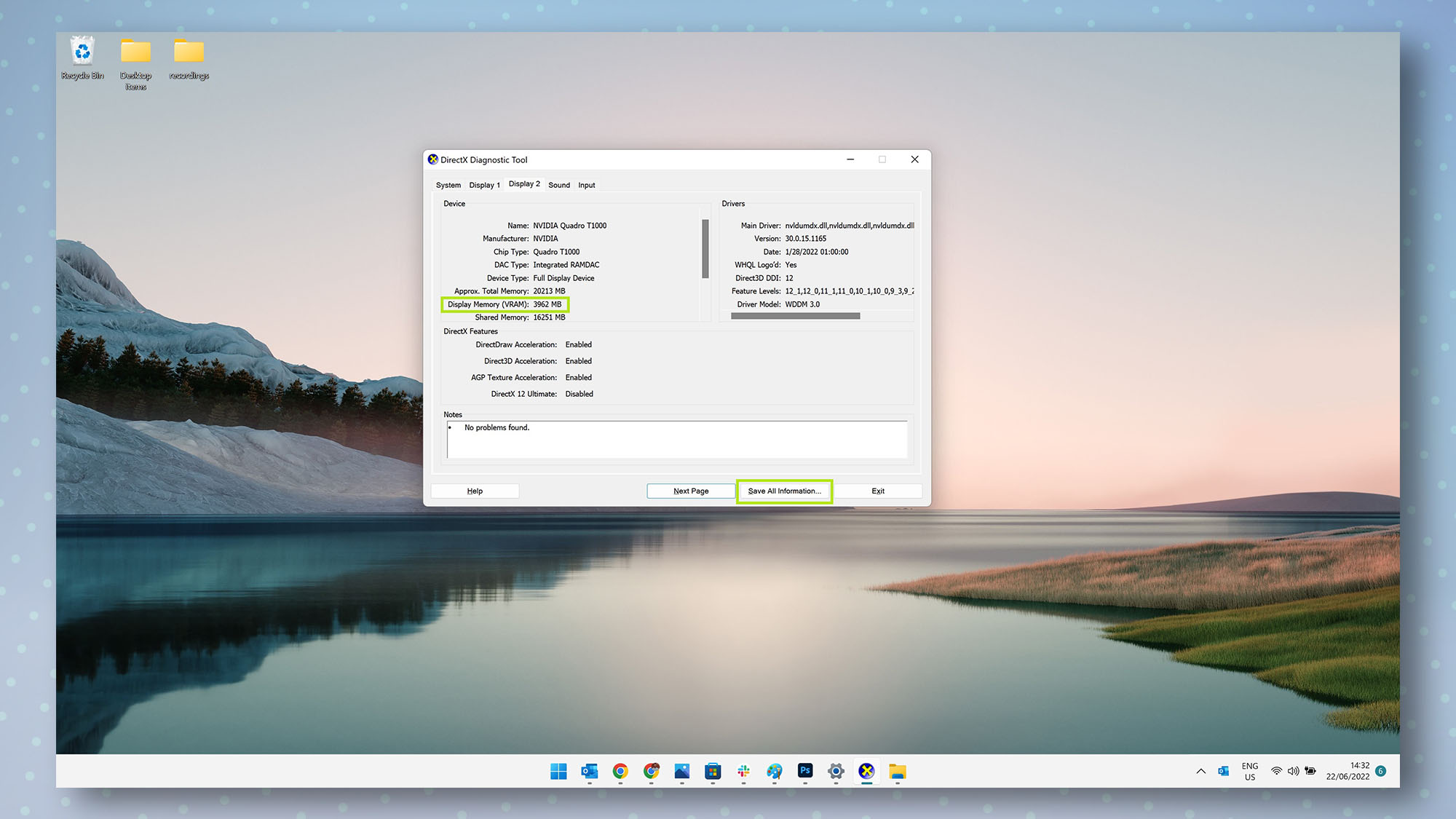 Windows 11 DirectX Diagnostic Tool Display tab