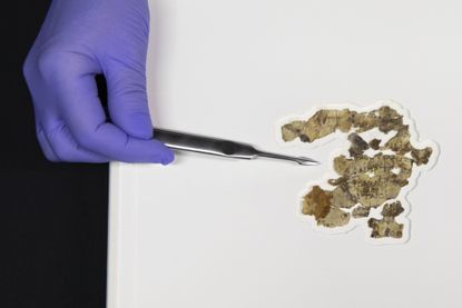 Newly-discovered fragments of the Dead Sea Scrolls.
