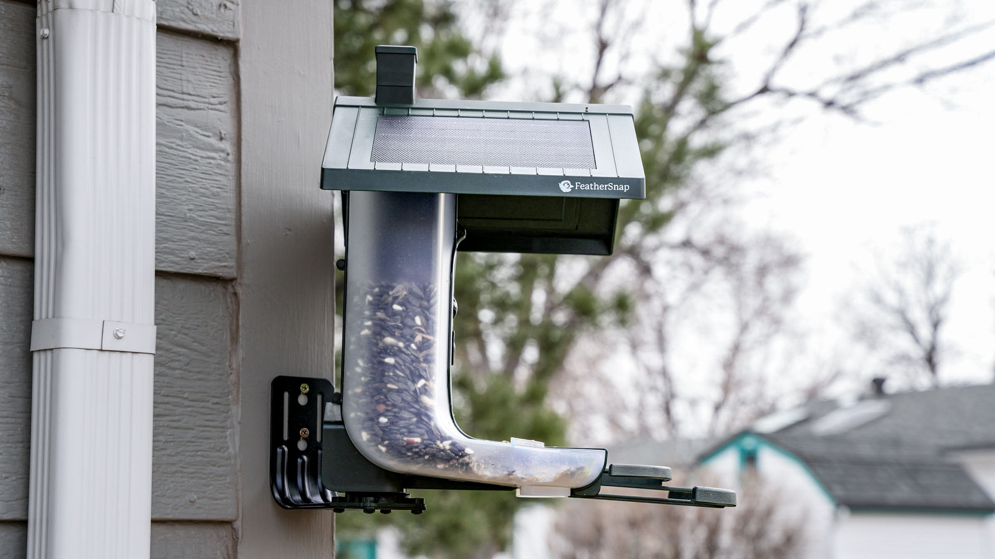 Side view of a Feathersnap Scout Bird Feeder mounted on the side of a house.