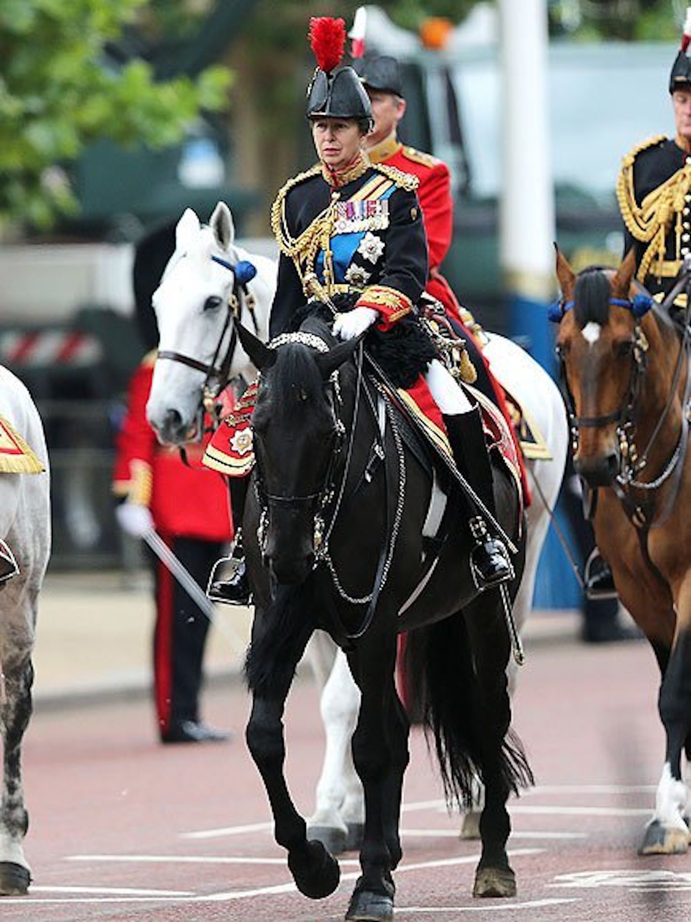 Elizabeth Horse Trust 3