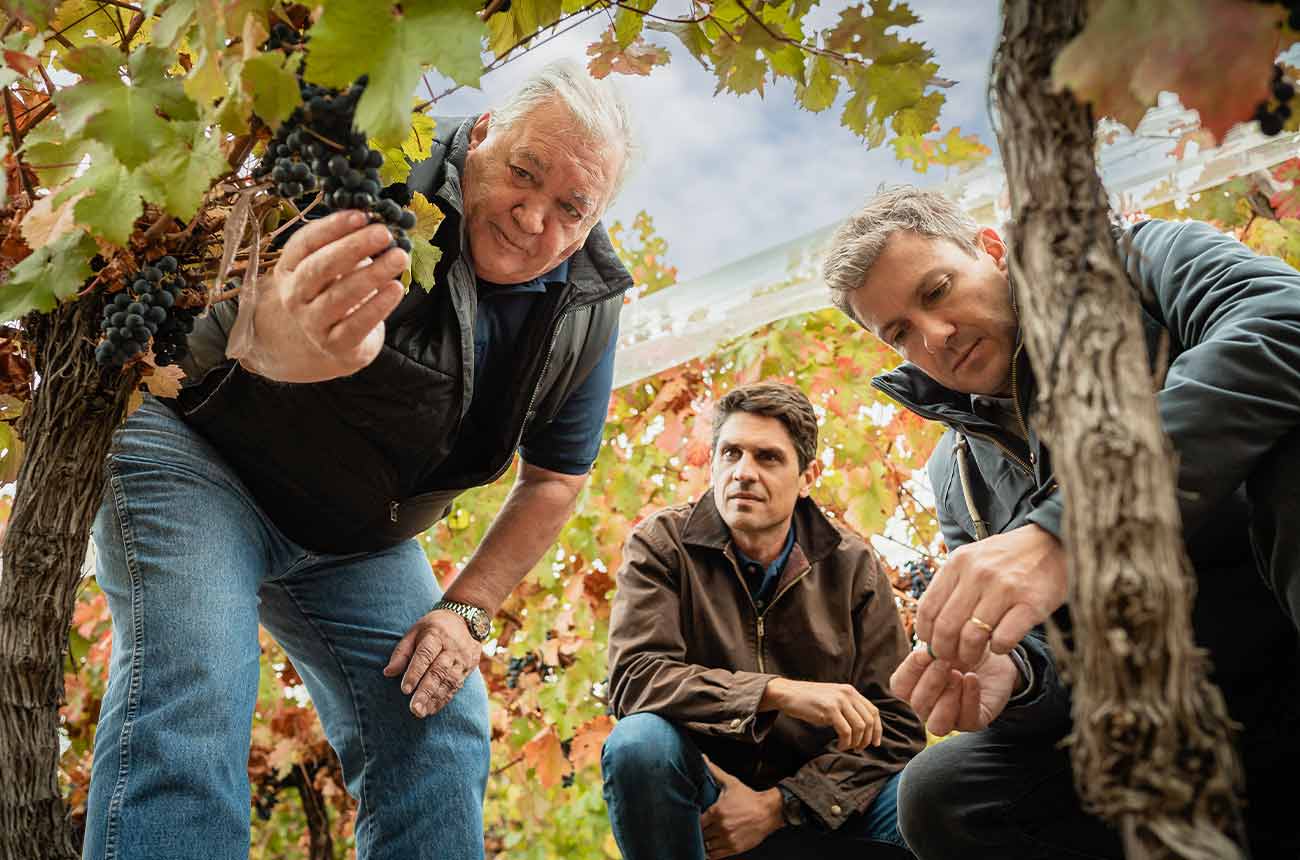 Rutini winery in Mendoza, Uco Valley, Argentina