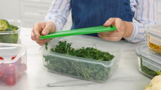 Women putting a green lid on top of a plastic food container